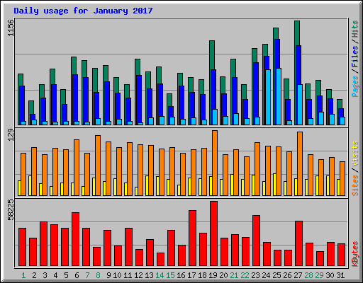Daily usage for January 2017