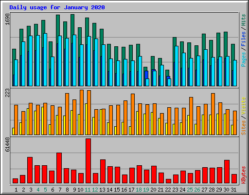 Daily usage for January 2020