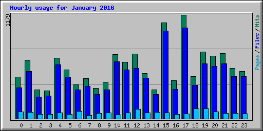 Hourly usage for January 2016