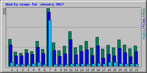 Hourly usage for January 2017