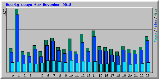 Hourly usage for November 2018