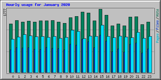 Hourly usage for January 2020