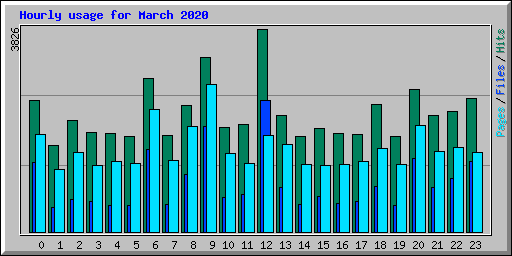 Hourly usage for March 2020