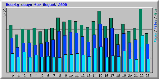 Hourly usage for August 2020