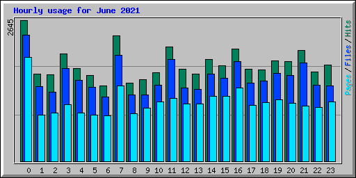 Hourly usage for June 2021